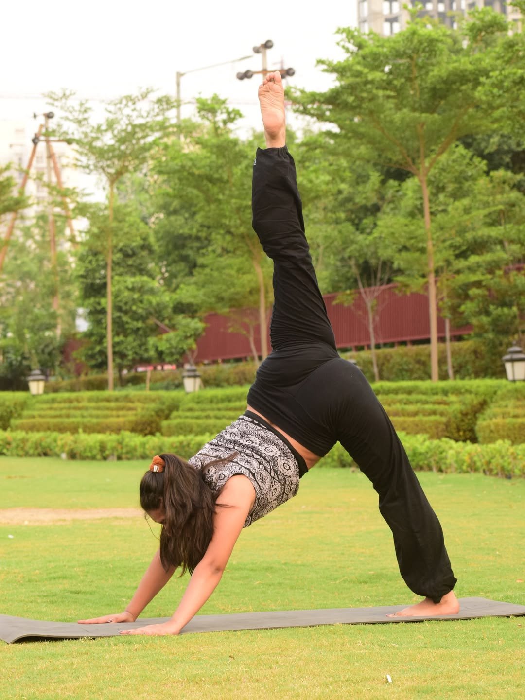 Online Yoga Classes for Beginners